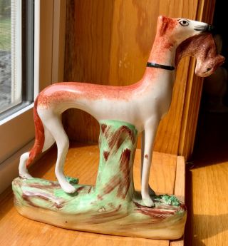 Stanfordshire 1870’s Antique Figure Of A Whippet With Rabbit 7x7x2” No Box