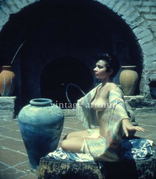 Vintage Stereo Realist Photo 3d Stereoscopic Slide Art Nude Brunette Outdoor Urn