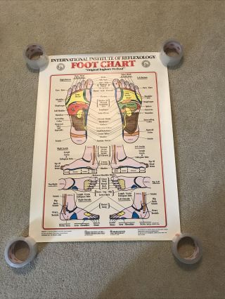 Vintage 1983 International Institute Of Reflexology Foot Chart
