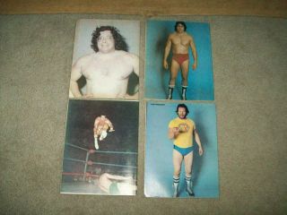 4 vtg THE RING ' S WRESTLING 1980 Bruno WWF NWA Andre BACKLUND Debbie Harry WWE DX 2