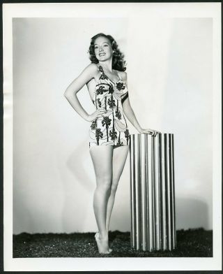 Evelyn Keyes In Leggy Pin - Up Portrait Vintage 1942 Photo By Lippman