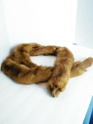 Vintage 4 Full Body Mink Fur Pelts Stole Cape Shawl Wrap Boa Scarf Collar 48 "