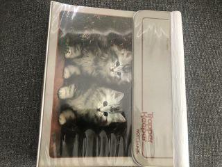 Vintage 1980s Trapper Keeper Kitten Cat Mead 3 Ring Binder Notebook
